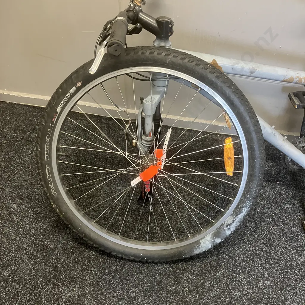 Adult Bike Spray Painted Light Grey (As Found) Image 1++