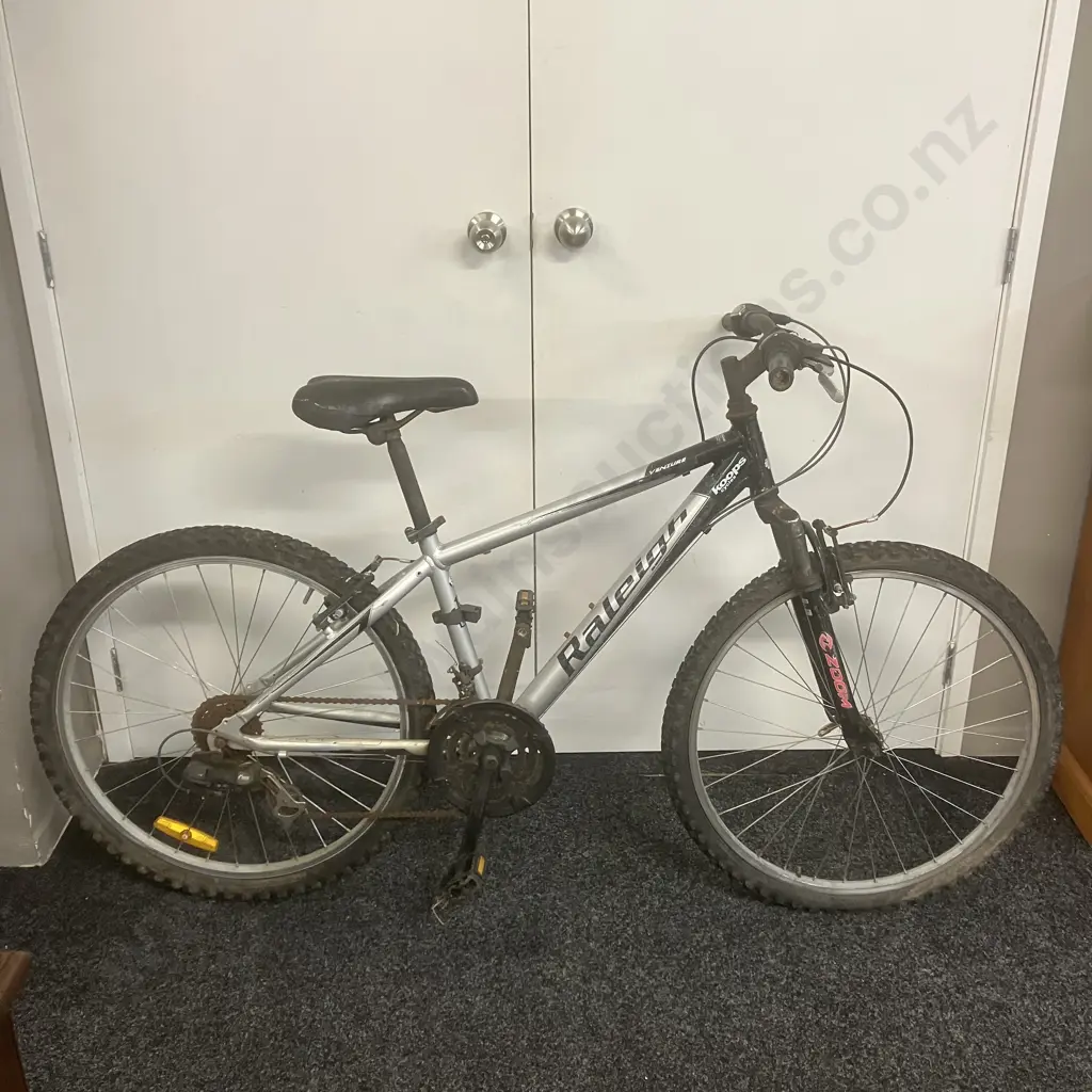 Silver & Black Colour Raleigh Venture Bicycle Image 1++