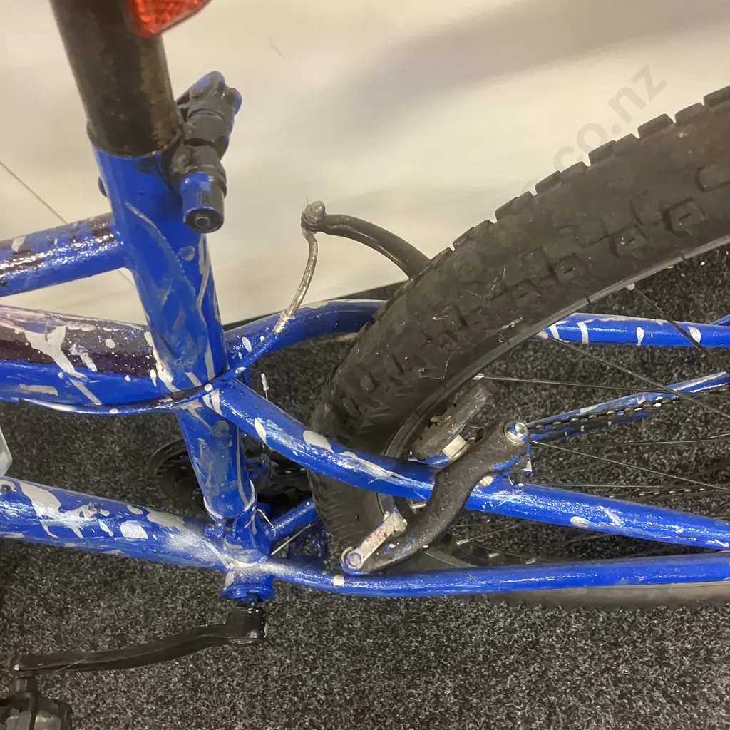 Blue Sprayed Bicycle Image 1++