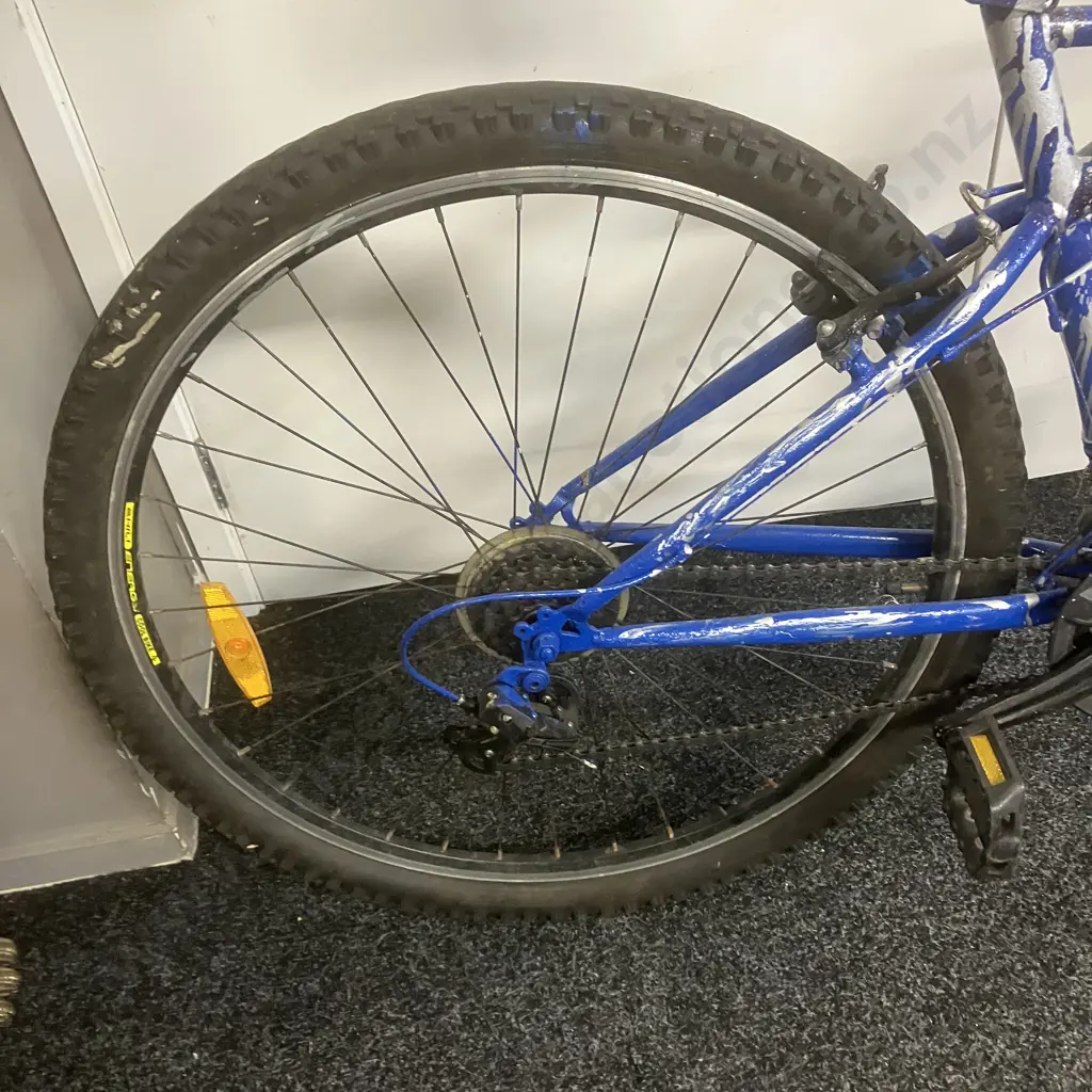 Blue Sprayed Bicycle Image 1++