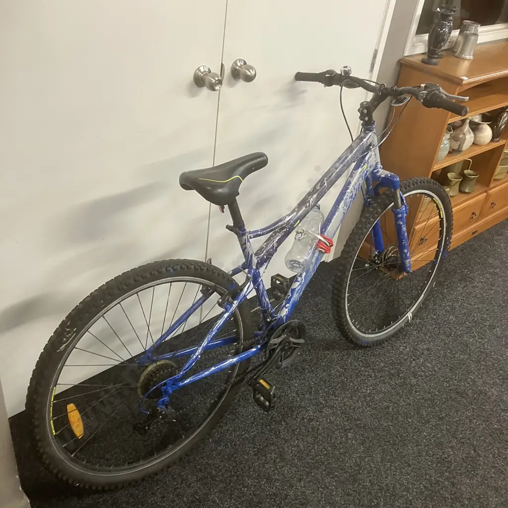 Blue Sprayed Bicycle Image 1++