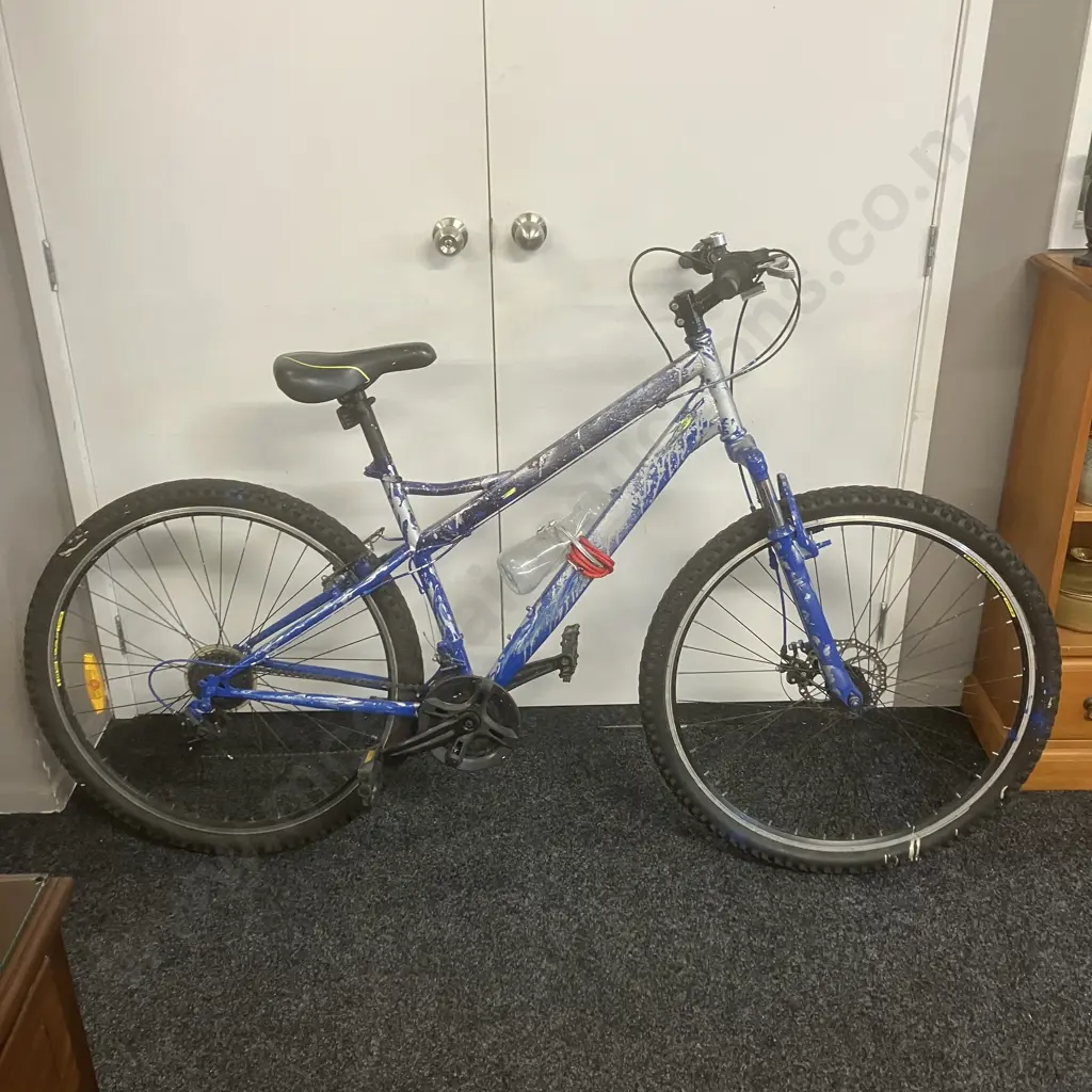 Blue Sprayed Bicycle Image 1++