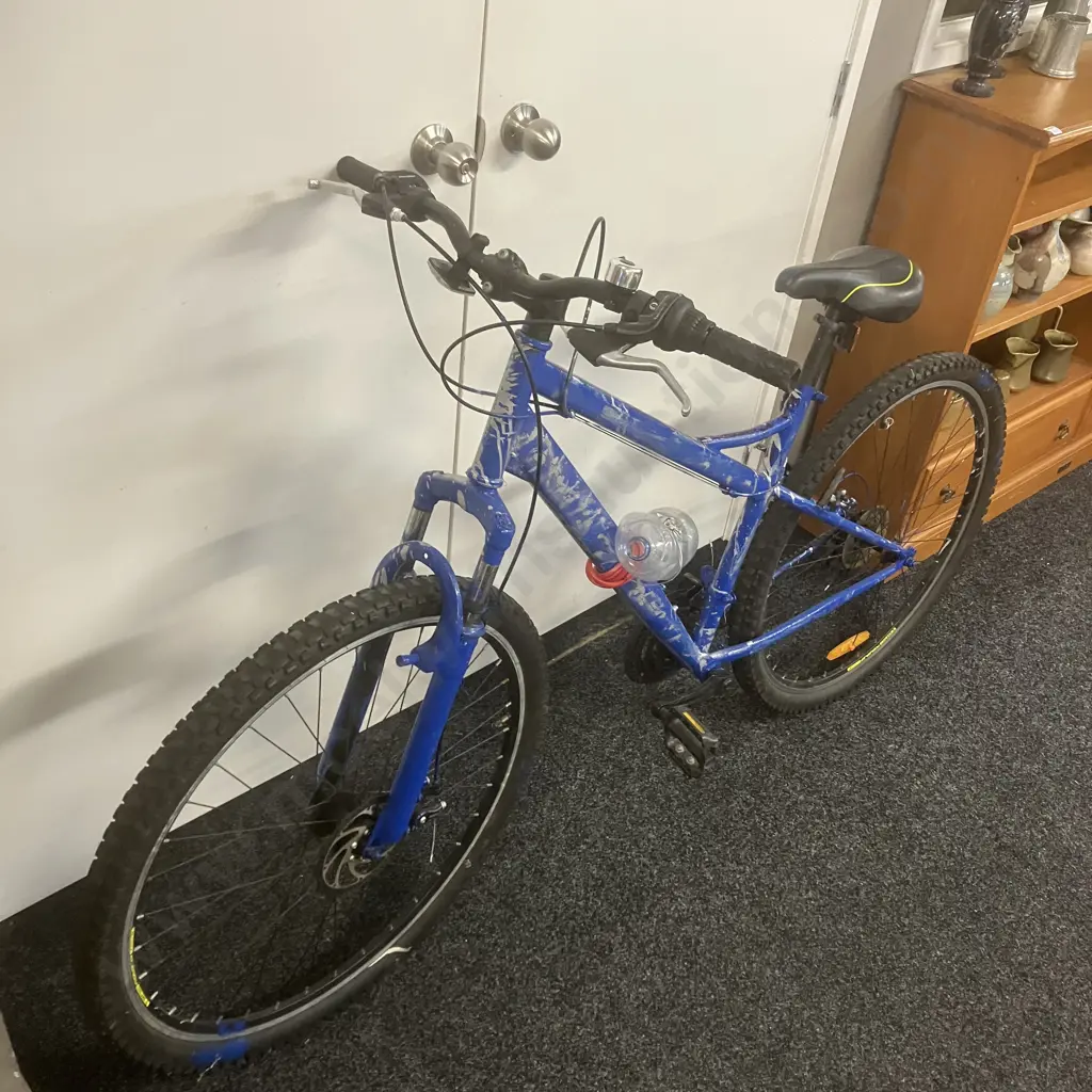 Blue Sprayed Bicycle Image 1++