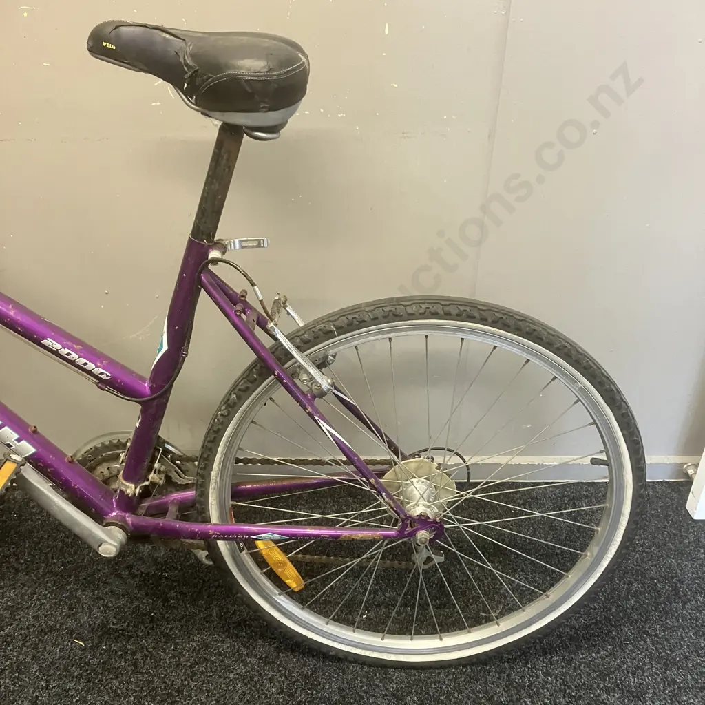 Purple Raleigh Bike Image 1++