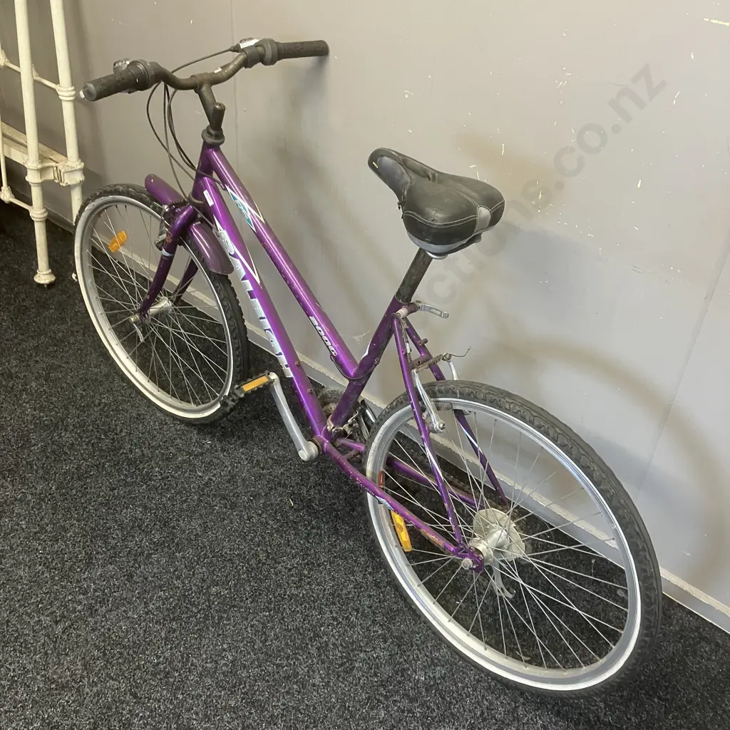 Purple Raleigh Bike Image 1++