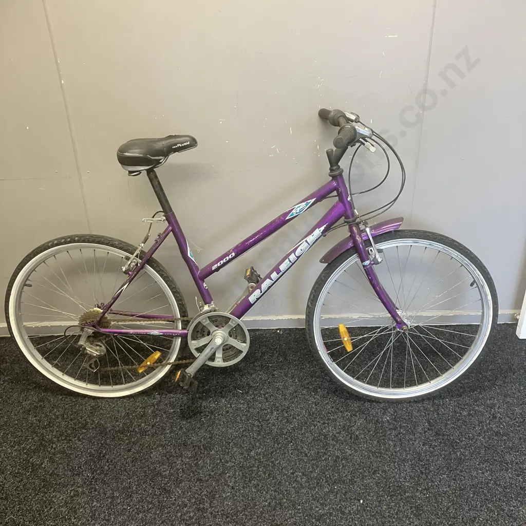 Purple Raleigh Bike Image 1++