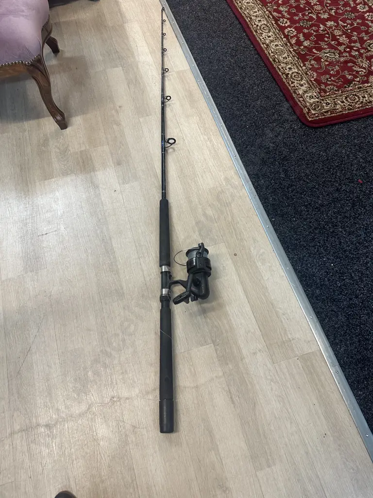 Berkley Penn Power Stick Rod 667FX & Reel  Image 1++