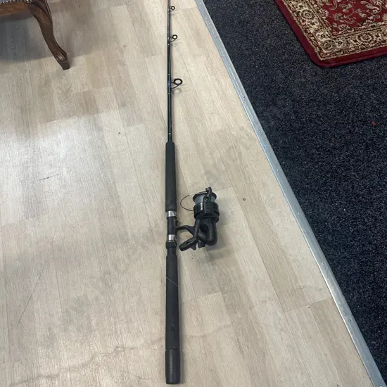 Berkley Penn Power Stick Rod 667FX & Reel 