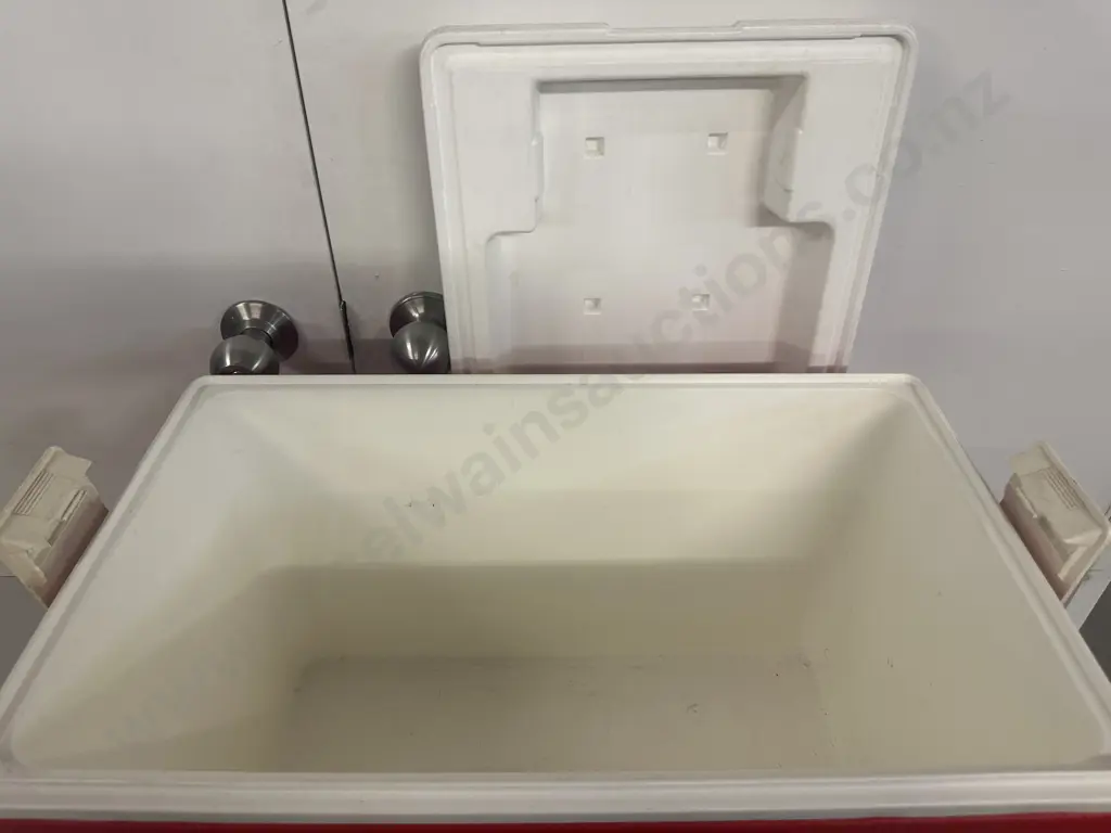 Red & White Willow Chilly Bin Image 1++