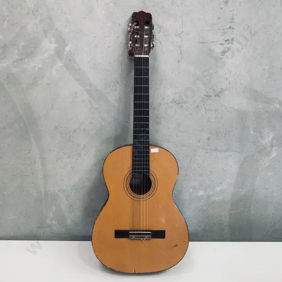 Riveria Brand Acoustic Guitar