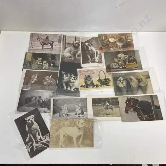 Vintage Assortment of Postcards - Animal themed