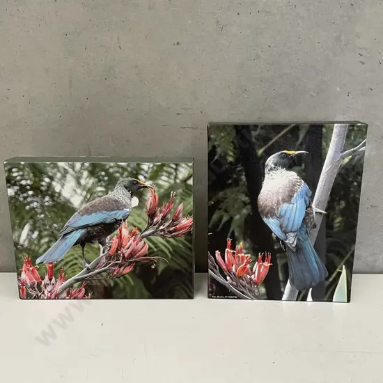 Two Peter Bowler Canvas Block Artworks of Native Birds. 25 x 21cm
