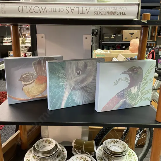 Set of 3 Native NZ Bird Prints - Kiwi, Tui and Piwakawaka (Fantail) Signed RF